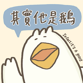 其實他是鵝