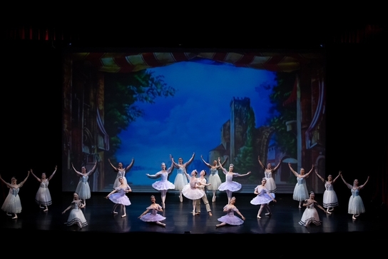 漫舞霧林 Dancing in the Misty Forest